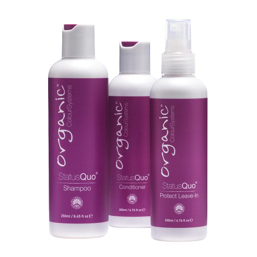 Status Quo Starter Kit
