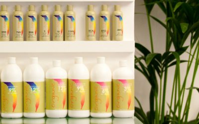 Permanent Hair Colours